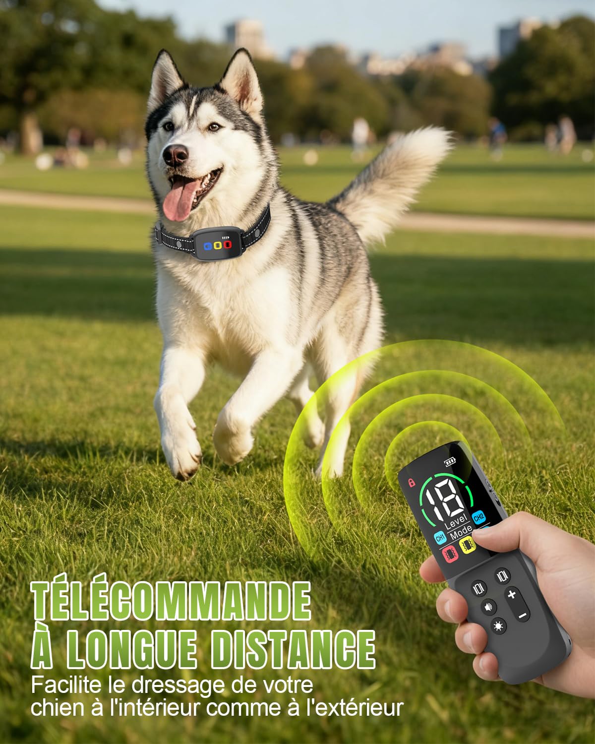 Collier de Dressage pour Chiens Rechargeable avec Télécommande, Bip, Vibration, Forte Vibration, Portée 800m, Étanche IP67, Collier Éducation Chien, pour Petits et Grands Chiens (8-120 lbs)