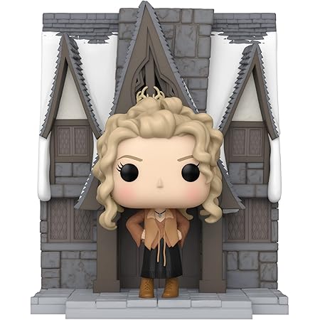 Amazon.com: Funko POP! Harry Potter 