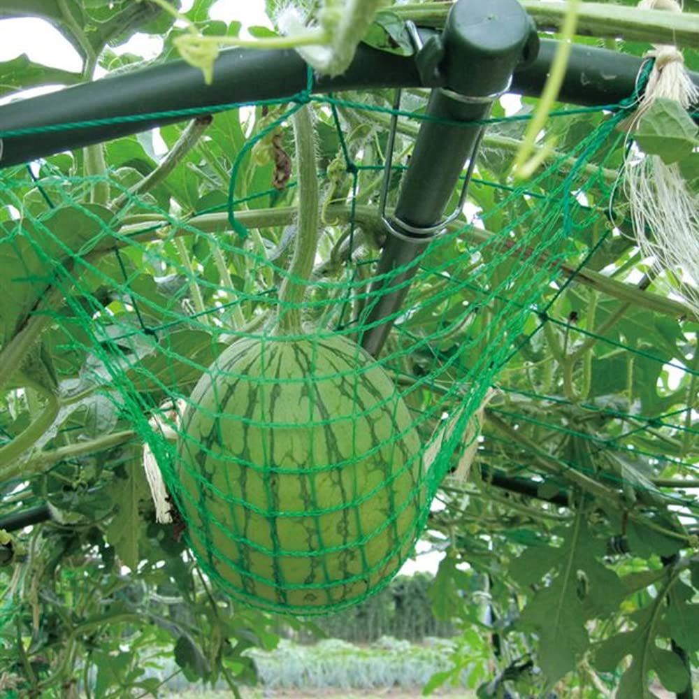 Filet Treillis Plantes Grimpantes 2m X 3m - Treillis Jardin Légumes Concombres Vignes