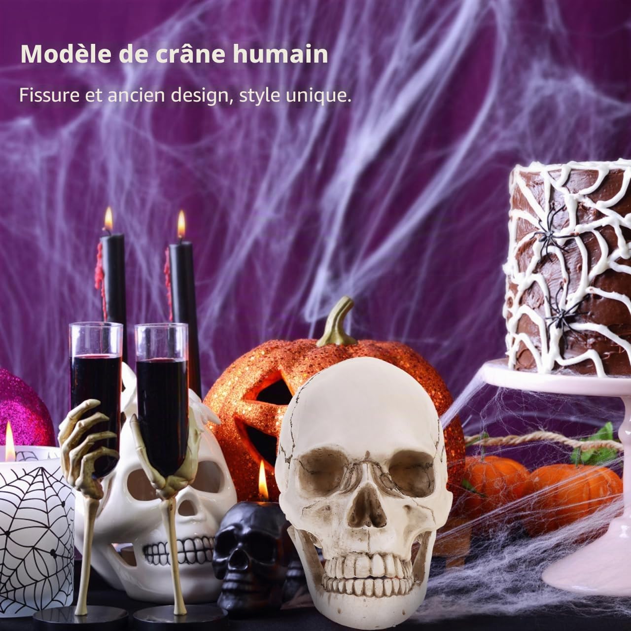 Amosfun ModèLe De CrâNe Humain 1:1 en RéSine Squelette Anatomique RéAliste pour l'enseignement Et La Recherche MéDicale Reproduction DéTails PréCis pour Les ÉColes Et Collections