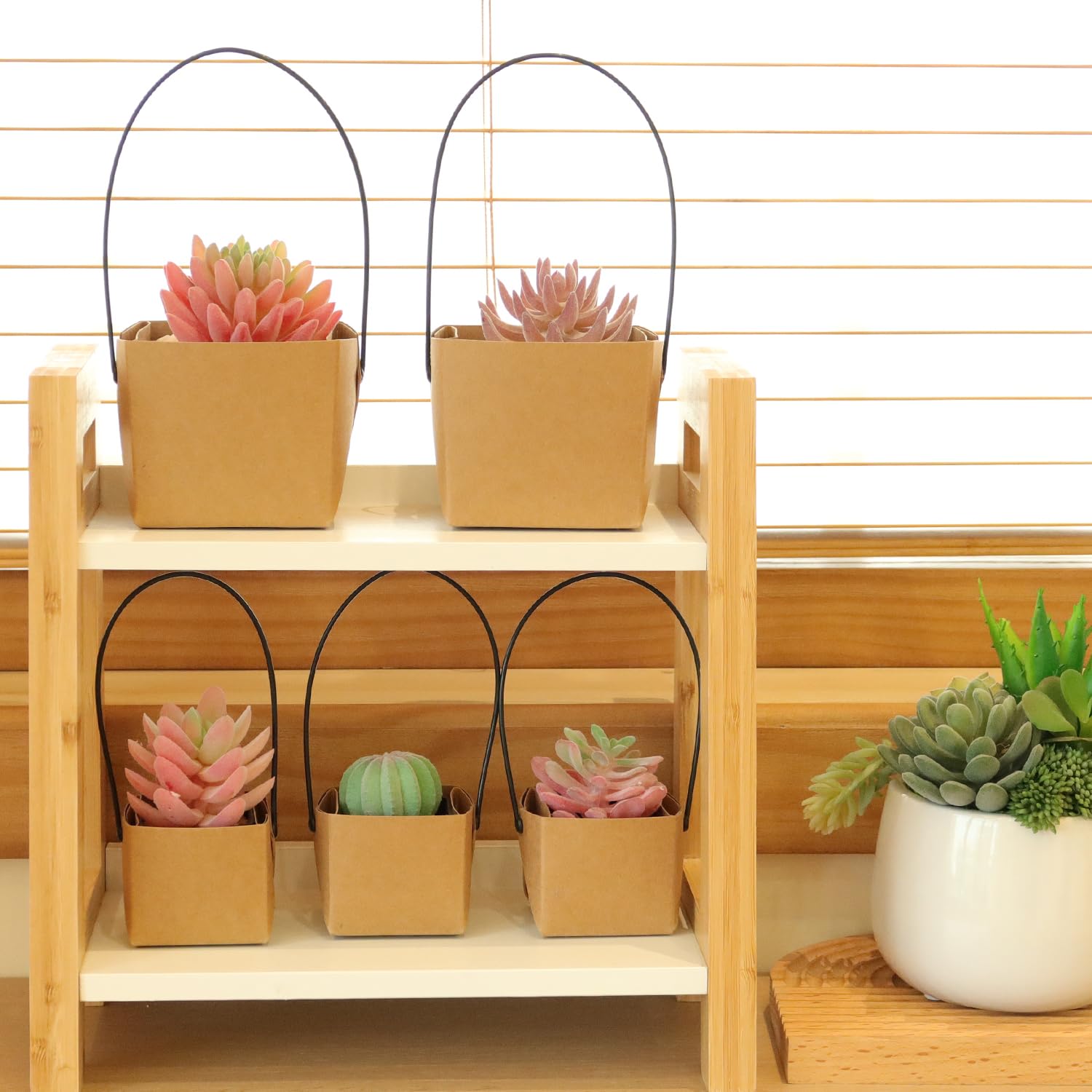 20 Sets Winzige Sukkulenten-Töpfe Mit Papiertüten – 5,1 Cm & 8 Cm, Kunststoff Mit Drainageloch