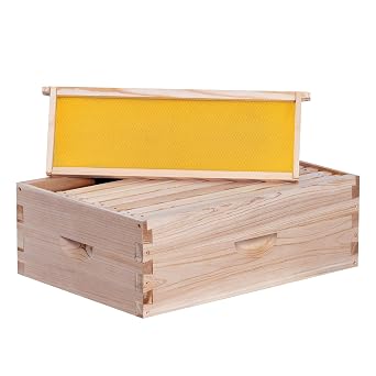 BeeCastle 8 Frame Medium Super Bee Hive Box, Langstroth Honey Bee Hive Include Beehive Frames and Waxed Foundations Unassembled