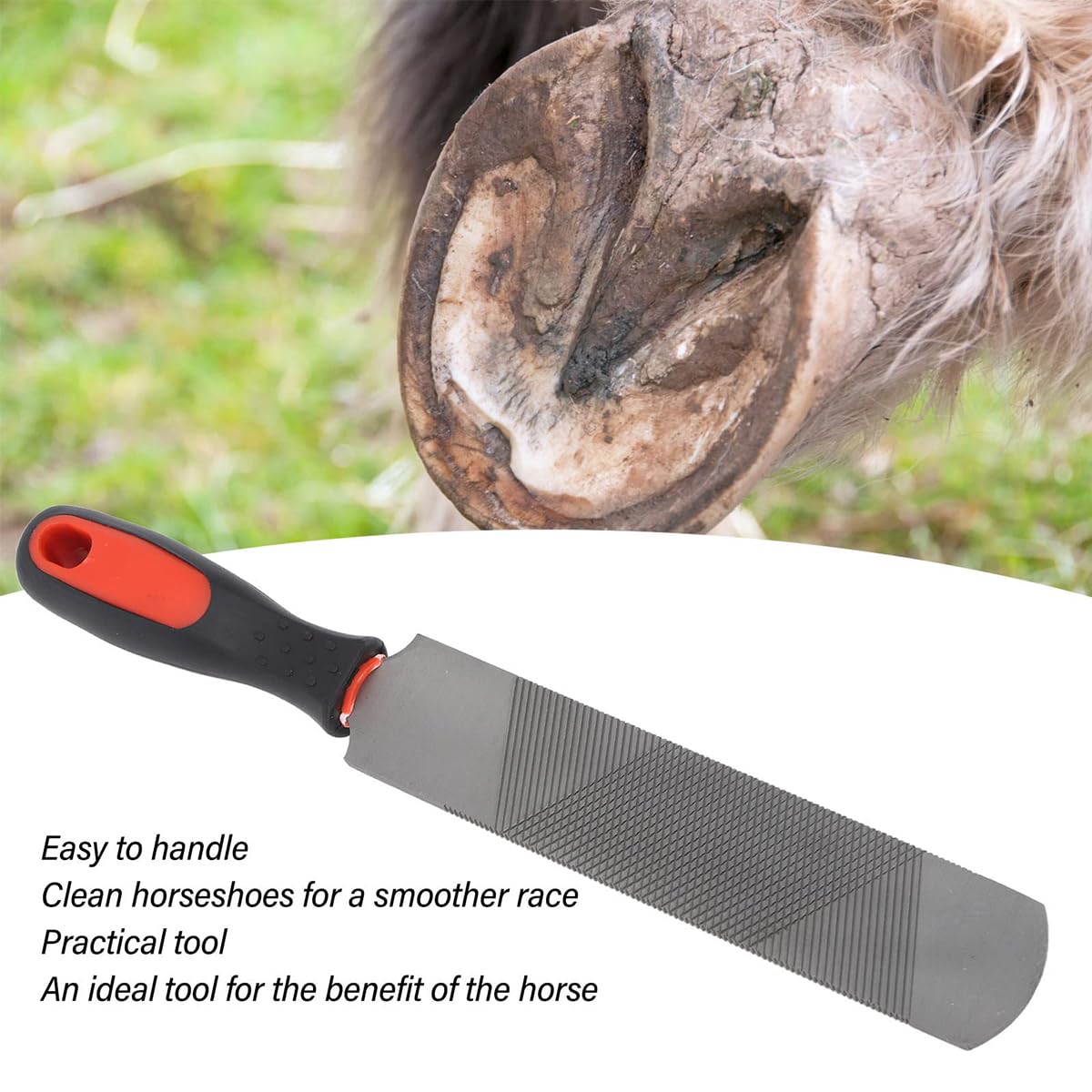 Escofina para Cascos de Caballo de 8 Pulgadas, Lima de Acero con Alto Contenido de Carbono para Recortar herraduras, Herramienta para herrador, Herramienta de herrador de Cabeza Redonda