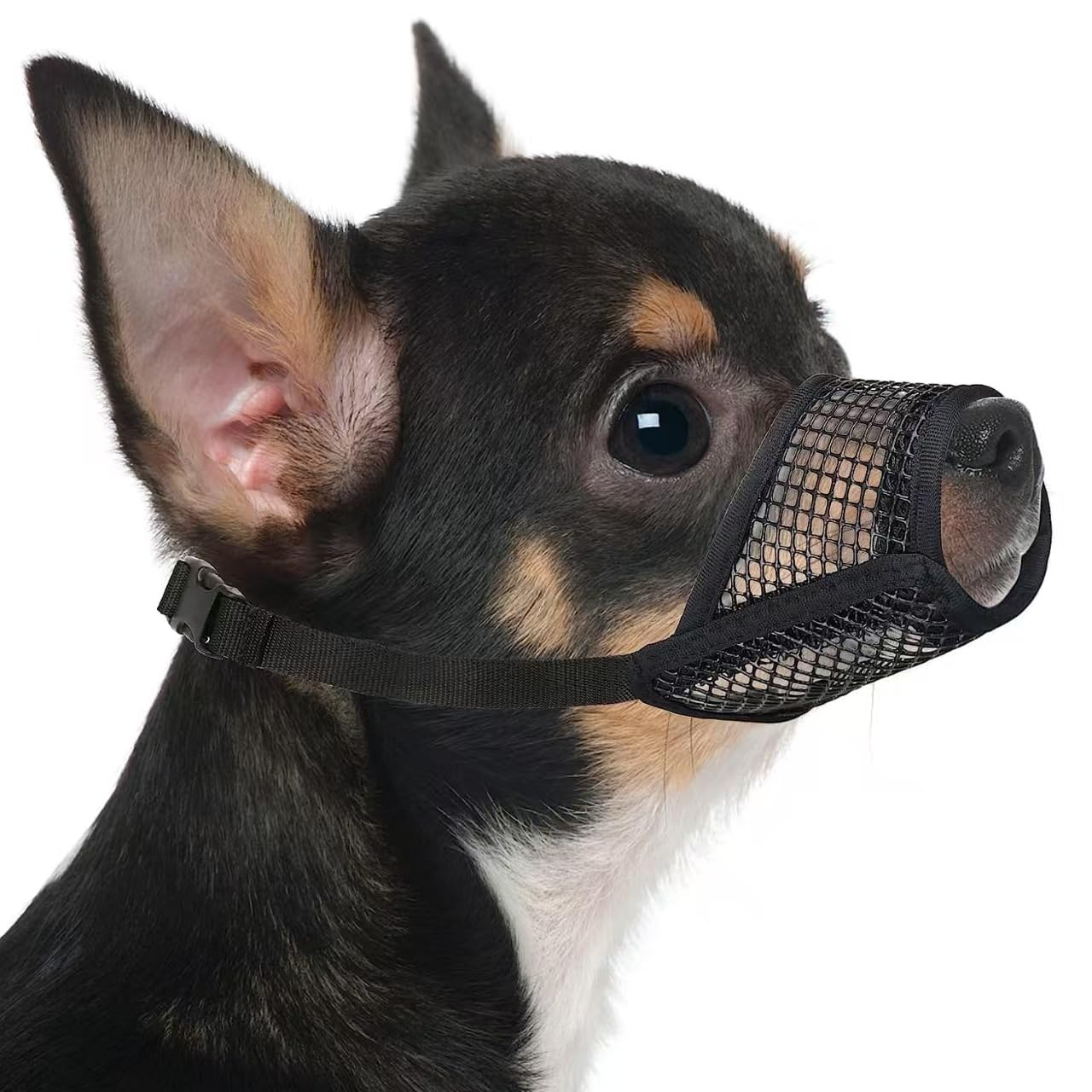 AMWYODK Dog muzzle,suitable for small, medium, and large dog,Prevent biting, barking, and gnawing,Adopt a soft mesh muzzle,Allow Panting Drinking。 (S-(Snout 6¼”-7”))