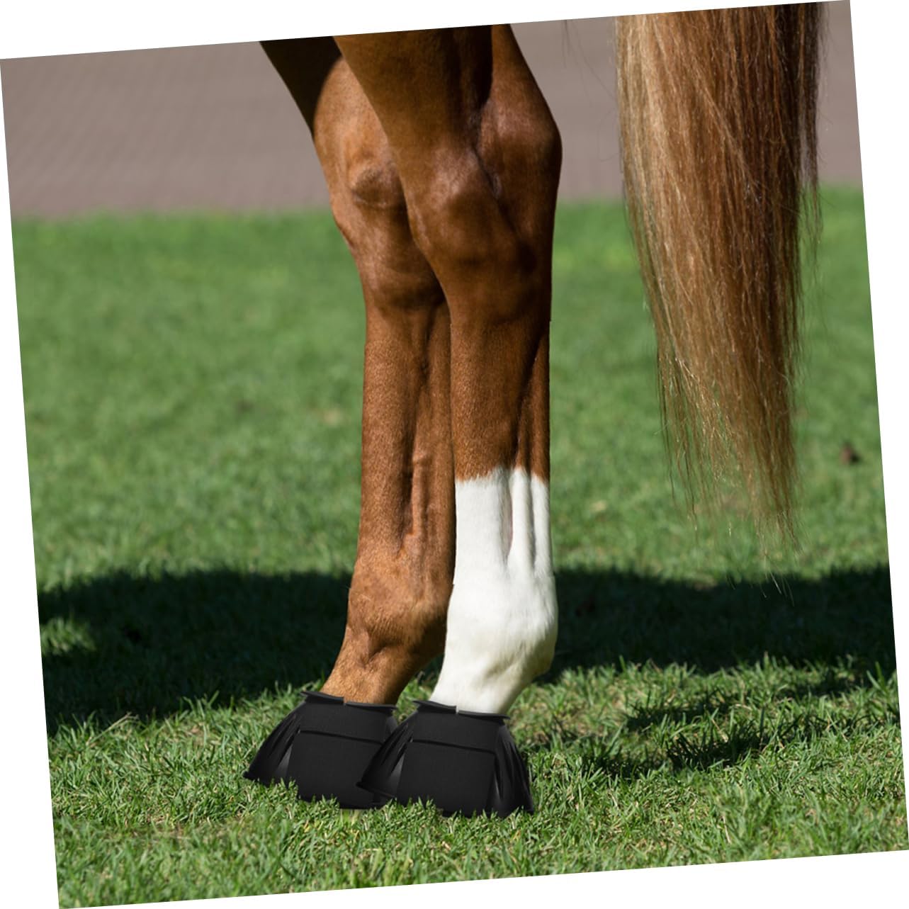 POPETPOP 4pcs Horse Leg Support Boots Breathable Reusable Tendon Protectors for Daily Use Convenient Portable Design for Reducing Stress and Fatigue