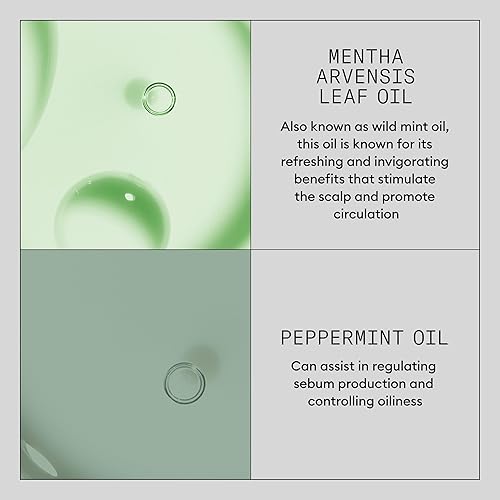 Miniatura 6 de Nioxin Champú seco Instant Fullness, 4.22 onzas