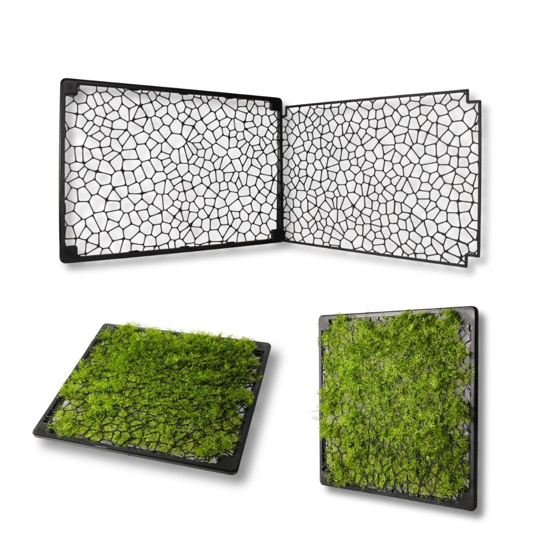 Generisch Mooswand XL 47x33 cm für Aquarium Rückwand-Gitter zum Begrünen - Slim Design mit Saugnapf - für Moos & Aufsitzerpflanzen - Aquarium Pflanzen Zubehör | XL-Edition (47x33 cm) für große Aquarien mit Magnet oder Saugnapf