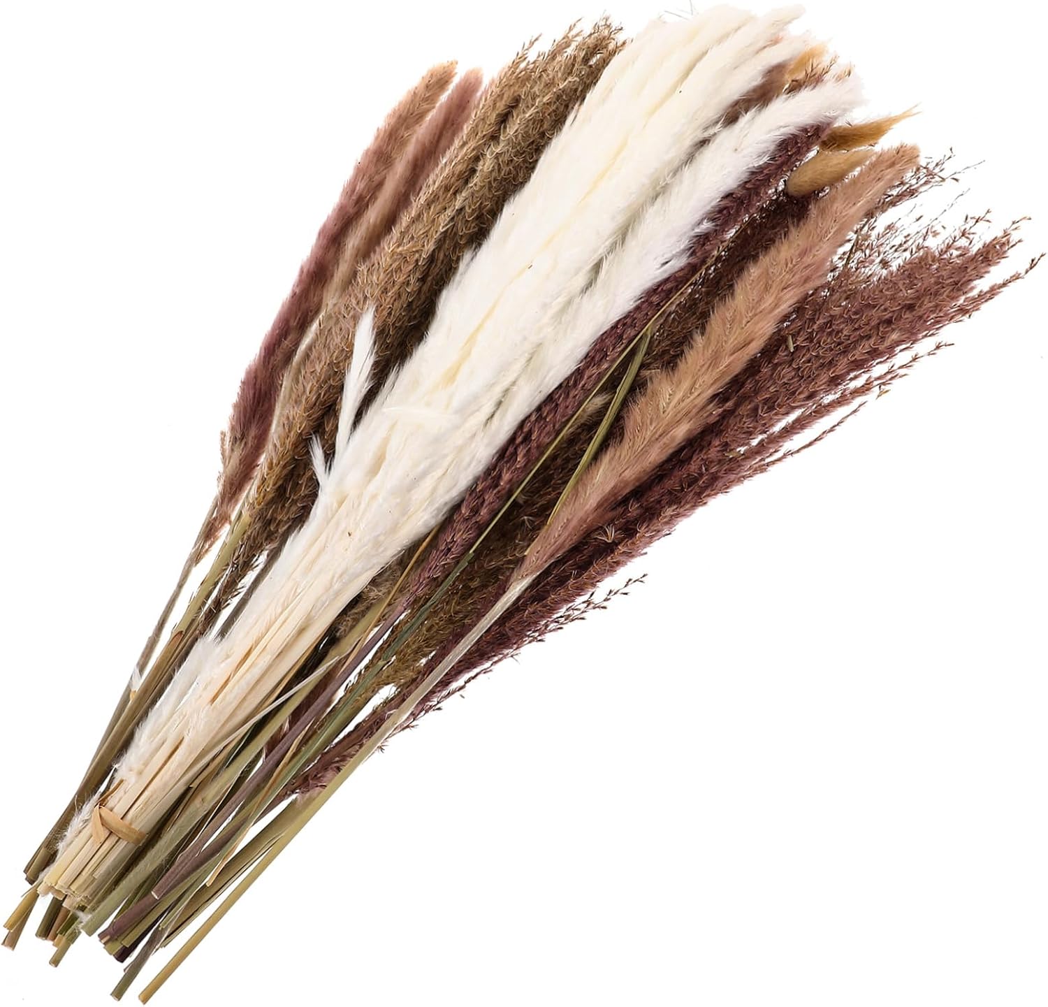 1set Dried Flower Bouquet for Home Decor Stems of Natural Decorative Grass for Table Centerpieces Weddings and Spring Parties Non-Care Floral Arrangement
