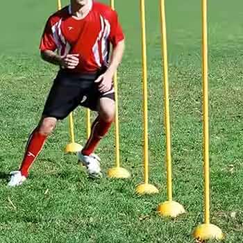 アジリティポール 71ThNMLax7L._AC_UF350,