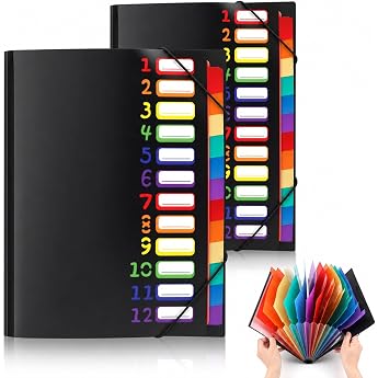 Pack of 2 A4 Expanding File with 12 Compartments