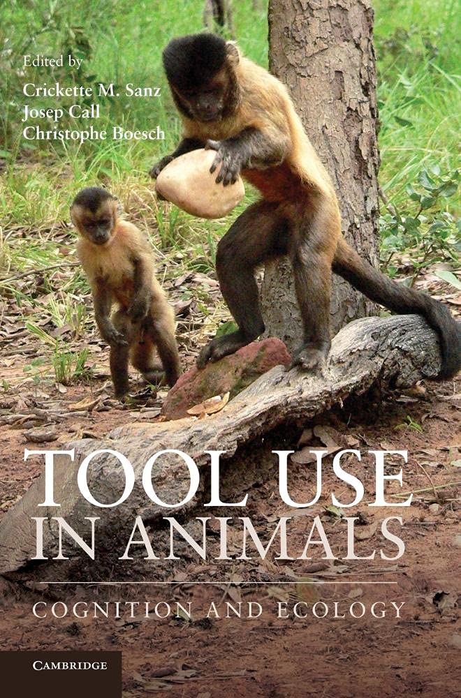 Tool Use In Animals