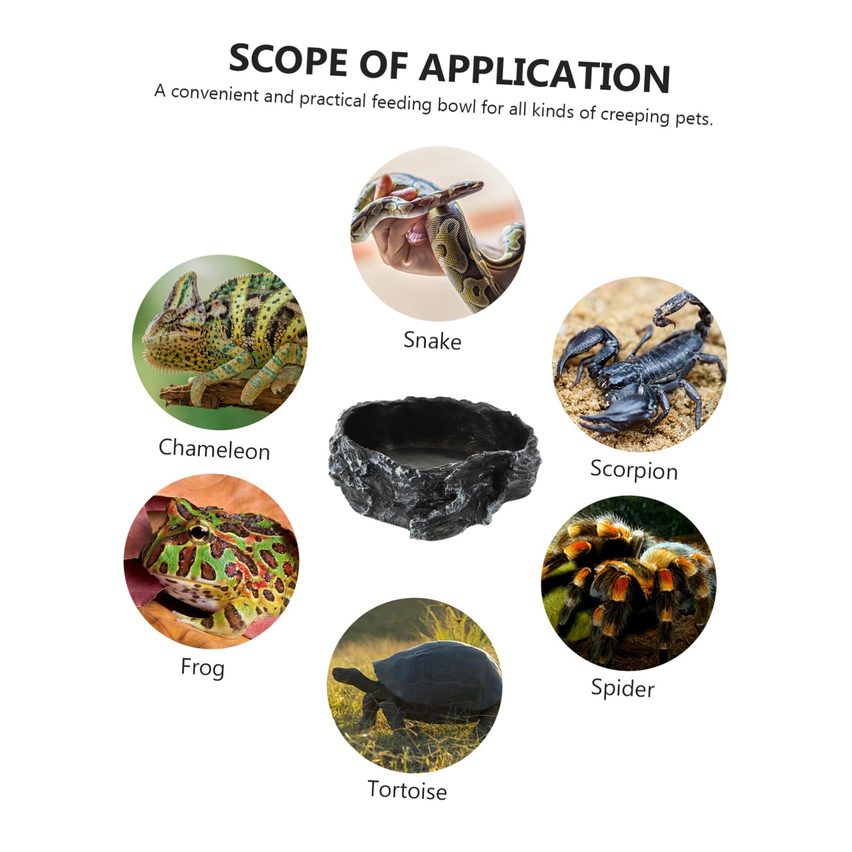 Ciotola Acqua Rettili Decorativa Antiribaltamento per Lucertole Tartarughe e Piccoli Rettili Alimentatore Stabile e Facile da Pulire per Terrario