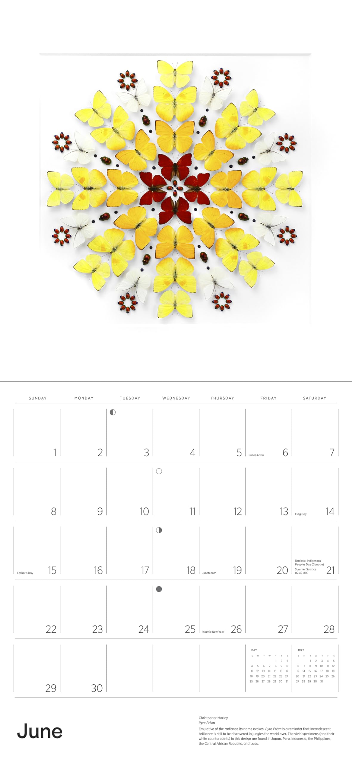 Exquisite Creatures: The Art of Christopher Marley 2025 Wall Calendar