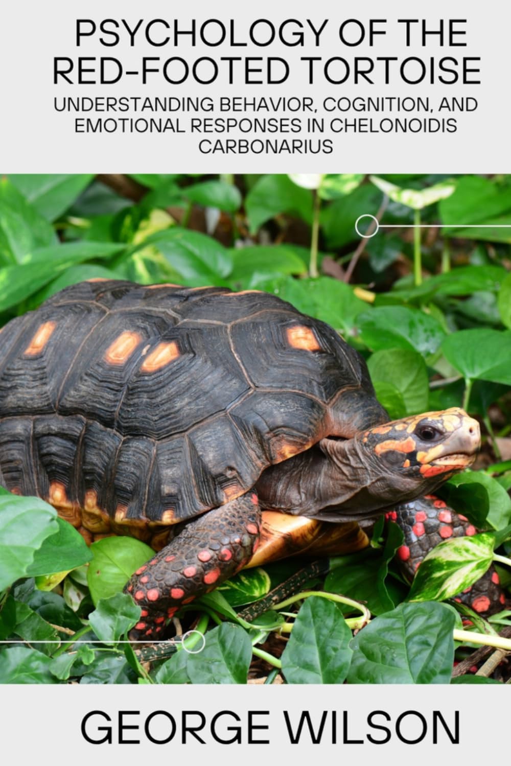 PSYCHOLOGY OF THE RED-FOOTED TORTOISE: Understanding the behavior, cognition, emotional, response in Chelonoidis carbonarius