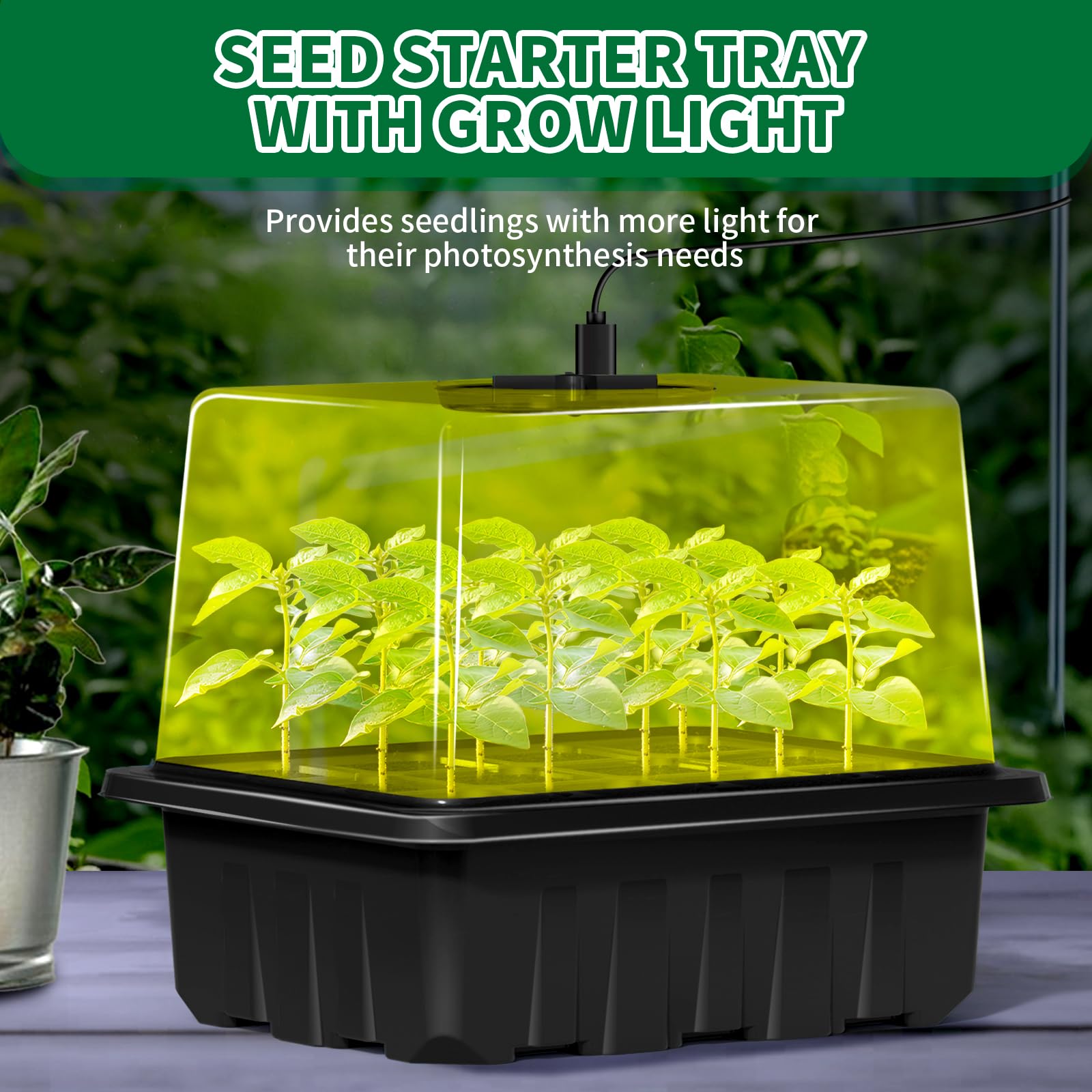 Set di coltivazione rialzato, con luce, 5 pezzi, 60 celle, mini casa per la coltivazione di piante, piccole piante, con coperchio, per interni ed interni, nero