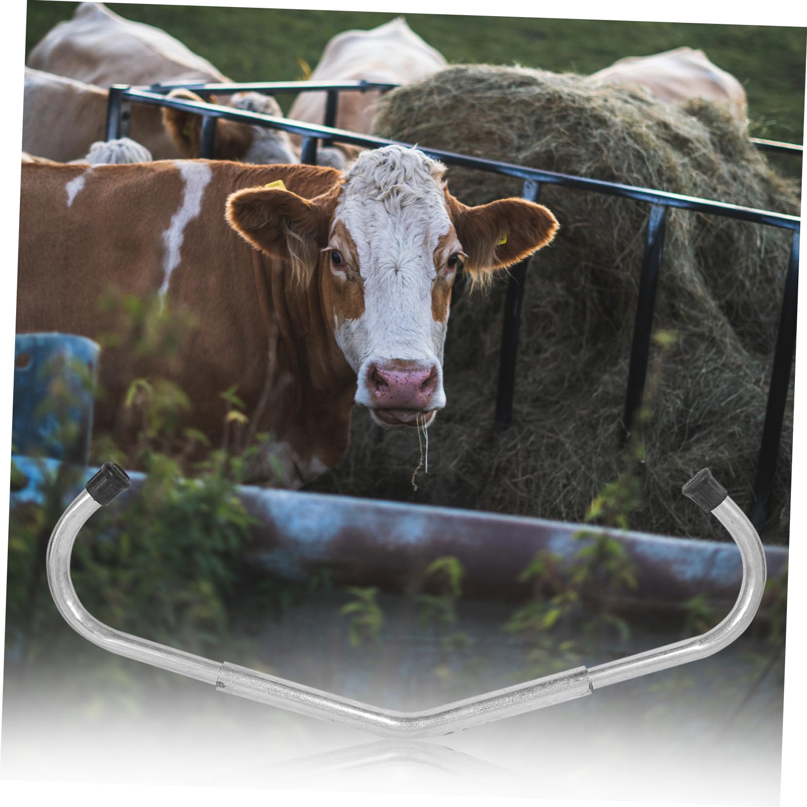 Bastone Anti-calcio per Bovini Zincato, Accessorio Staccabile | Regolabile, Finitura Argento, per Allevamento Domestico, Attrezzatura per Bovini