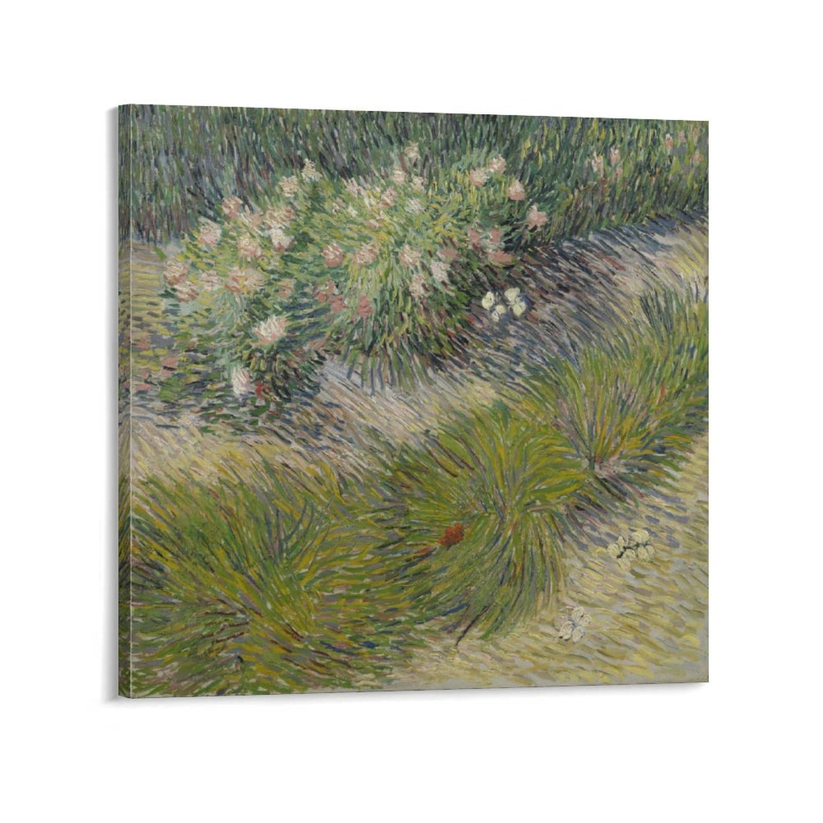 Impression sur toile herbe et papillons Van Gogh 60x60 de qualité musée