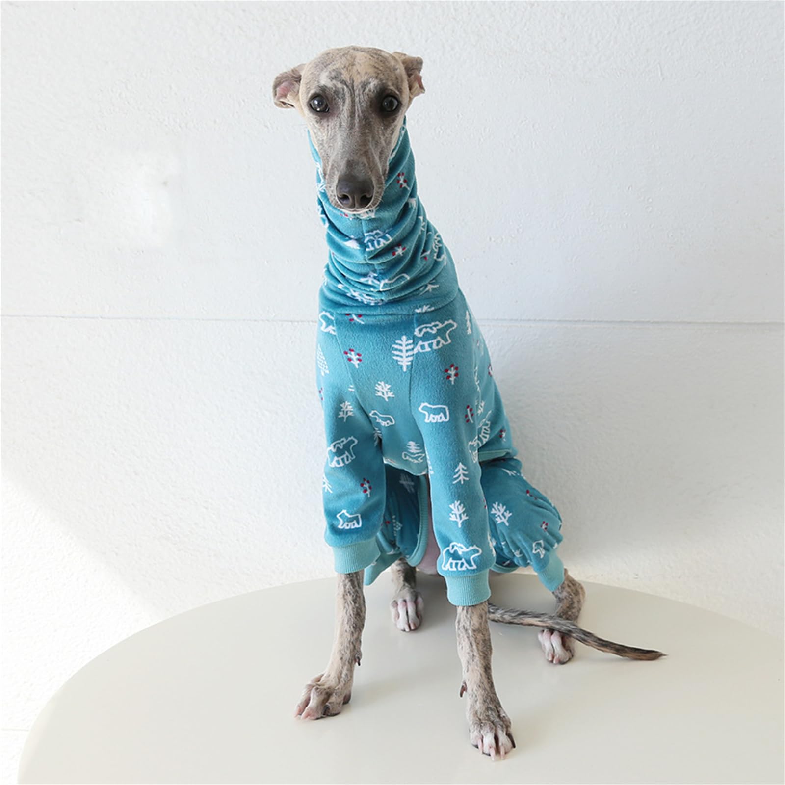 Pigiama leggero per cani levriero italiano, dolcevita whippet a quattro gambe in cotone morbido per cani tuta da casa per cani, blu_XXL
