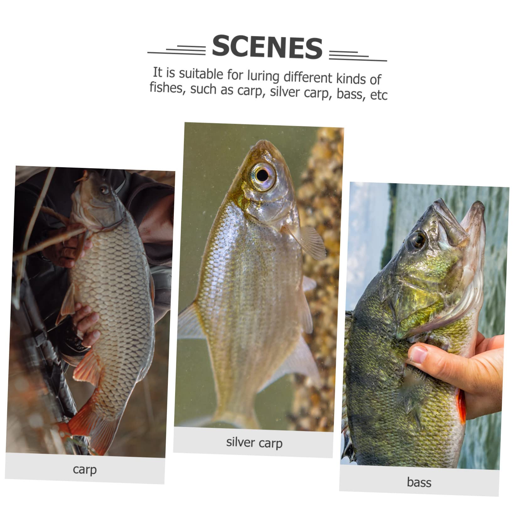 Toddmomy 20pezzi Esche Artificiali per Pesca Bait Fake Leggero Esche da Mare per Appassionati di Pesca Modelli di Insetti Realistici per Sportiva