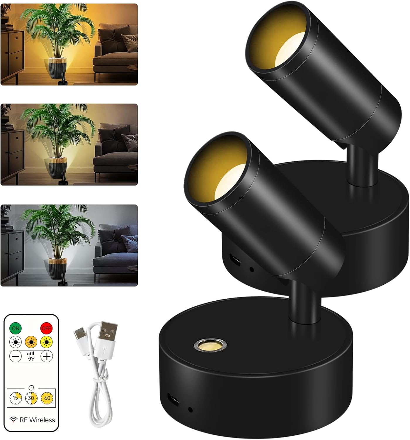Spot Lights Indoor with Remote,Rechargeable Picture Light,LED Spotlight for Plant,Painting, Artwork, Accent Lighting,3CCT,2PACK