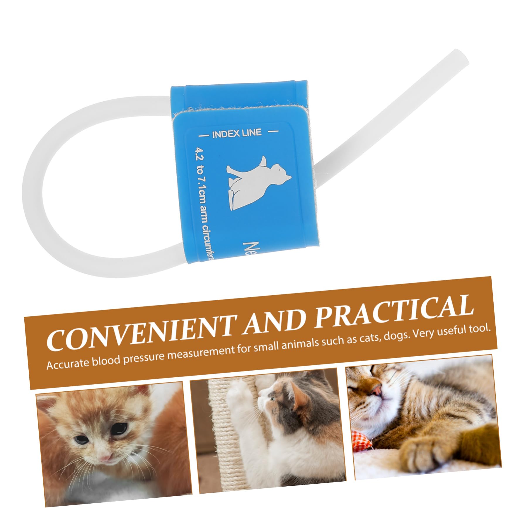 POPETPOP Brassard De Tensiomètre Réutilisable pour Animaux De Compagnie Tensiomètre Vétérinaire Adapté Aux Chiens Et Chats Mesure Précise De La Pression Artérielle Outil Domestique Fiable
