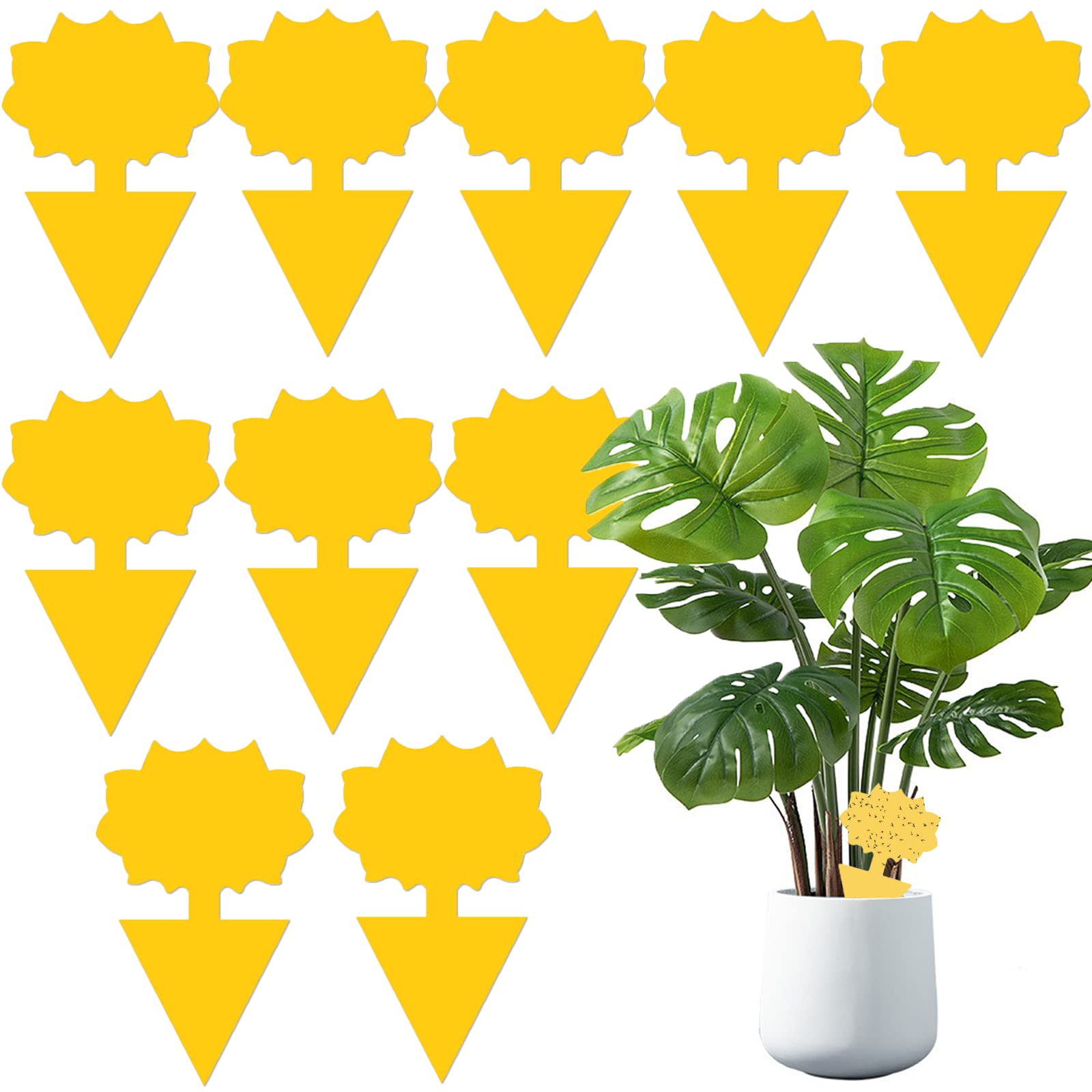 LLYJOYE 10x Fruit Fly Traps Double-Sided Yellow Sticky Traps Fungus Gnat Traps Fly Killer for House Plants Indoor and Outdoor(Flower)