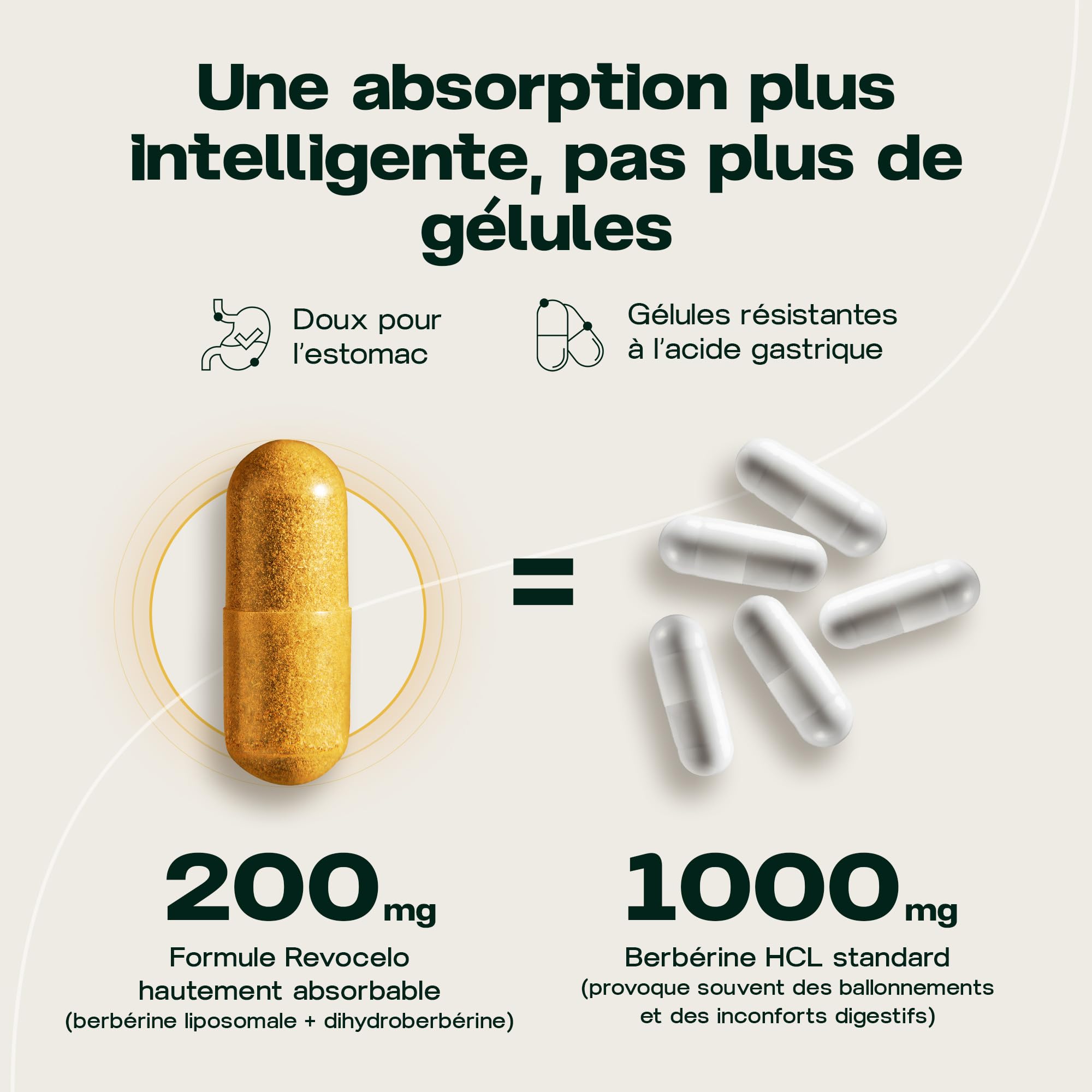 Berbérine Liposomale + Dihydroberbérine Formule | Soutien du Métabolisme avec Chrome et Thiamine, Gélules Résistantes à l’Acidité pour le Confort Digestif, Cure de 2 Mois