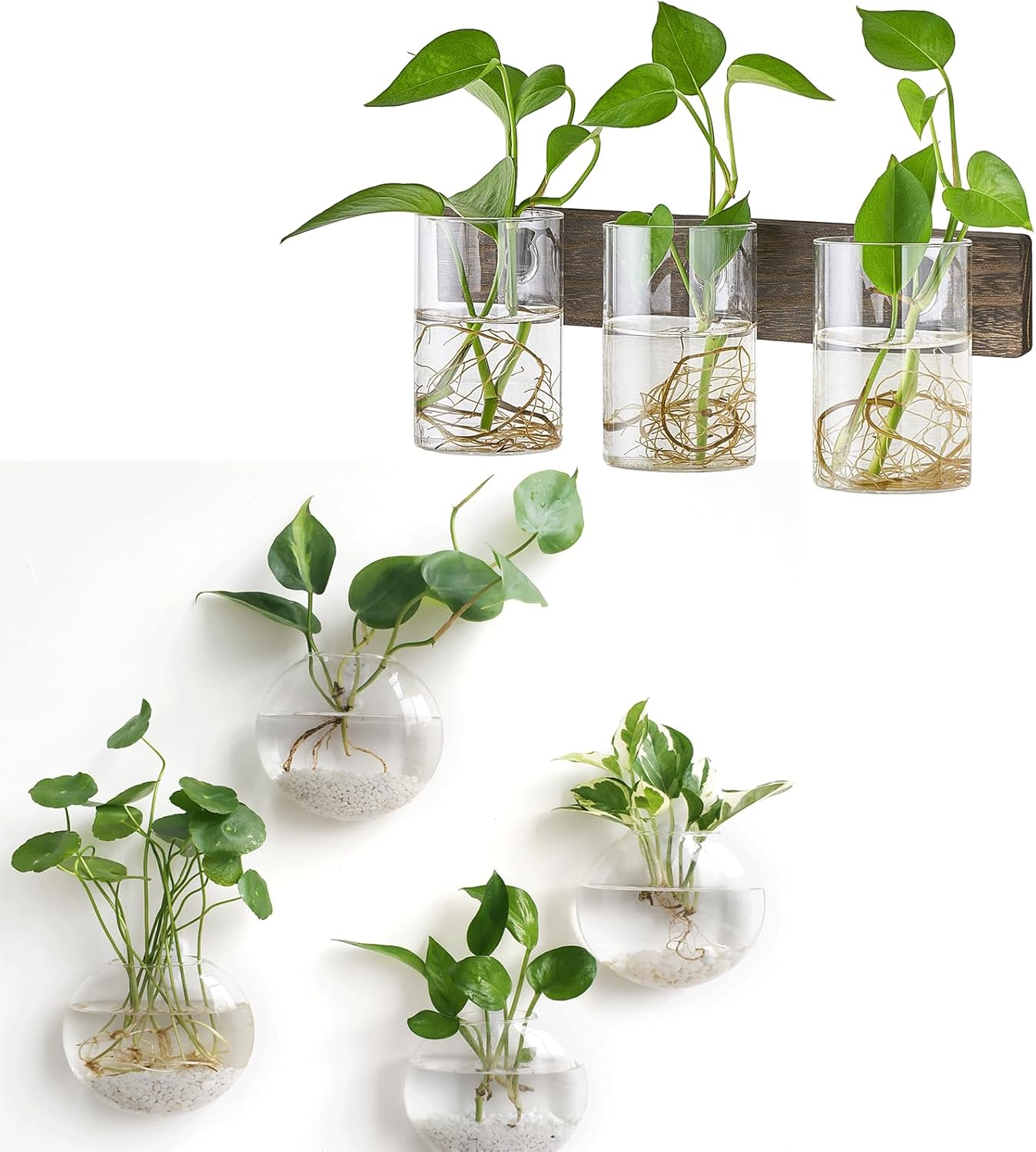 Mkono Wall Hanging Glass Terrariums Planter Oblate Flower