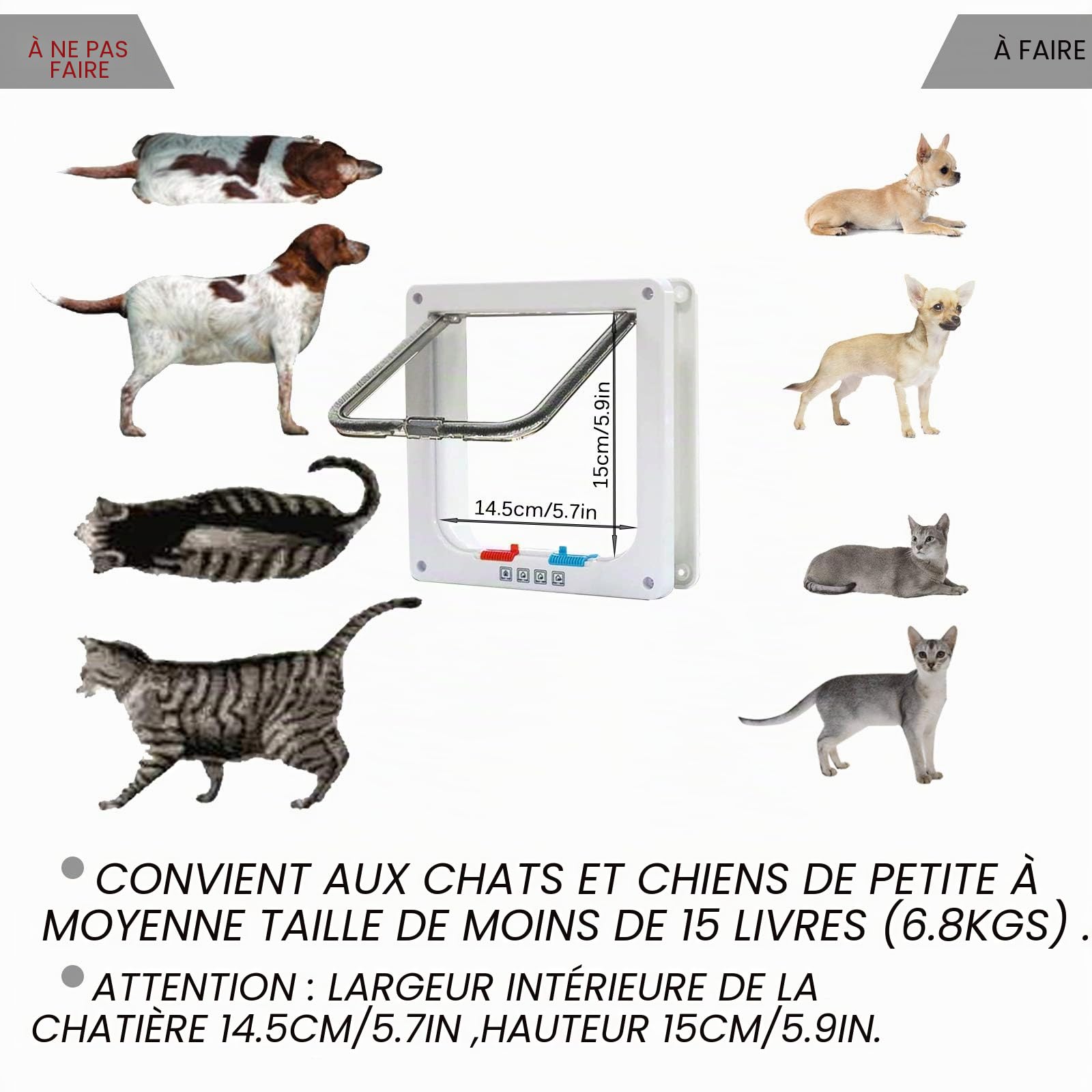 PetsN'all Chatière à 4 Positions pour Chat avec Tunnel, Cache, Découpe, Serrure - Porte pour Petit Animaux, Installation Facile