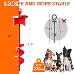 Snagle Paw Lock-Cap Dog Tie Out Cable & Stake - 20ft Heavy Duty Cable, 360° Swivel No Tangle Dog Yard Leash & Stake up to 220 lbs - Rust Proof Ground Anchor for Yard, Beach, Camping & Outdoor
