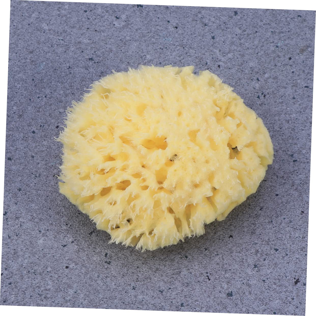 FRCOLOR 3piezas Esponja Natural De Para y Absorbente Para Bebés y Adultos Exfoliación y Limpieza Efectiva