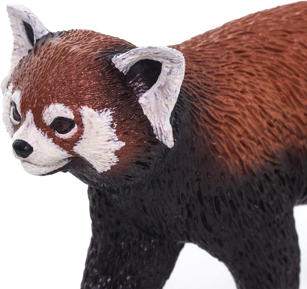 Amazon.com: Safari Ltd. Red Panda - Realistic 8 Amazon.com: Safari Ltd. Red Panda - Realistic 8