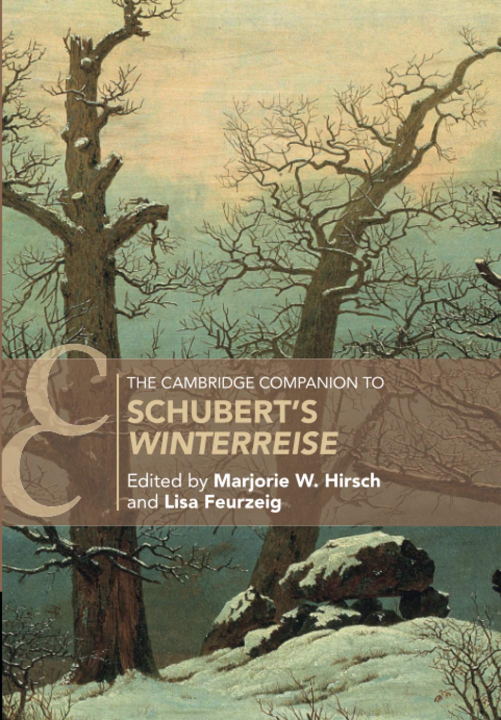 The Cambridge Companion to Schubert's ‘Winterreise' (Cambridge Companions to Music)