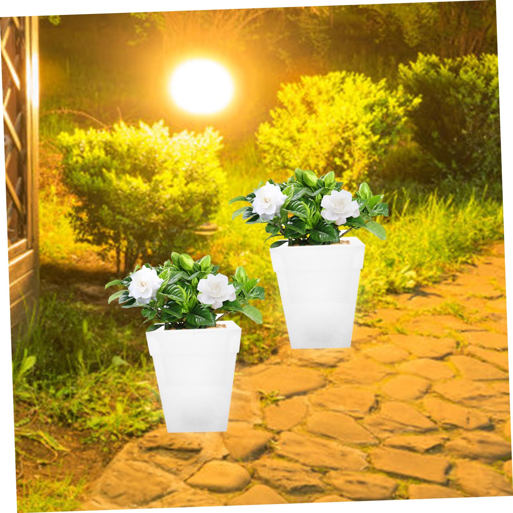 Vaso da Fiori Solare Quadrato Luminoso con Luce LED Bianco per Giardino Esterno Fioriera Decorativa Ecologica e Risparmio Energetico Facile da Pulire e Resistente per Patio e
