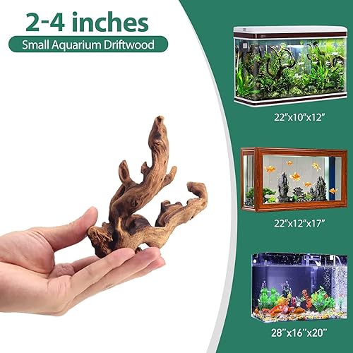 Miniatura 2 de WDEFUN Madera flotante natural para decoración de acuarios, 10 piezas de madera flotante pequeña de 2 a 5 pulgadas para decoraciones en peceras,