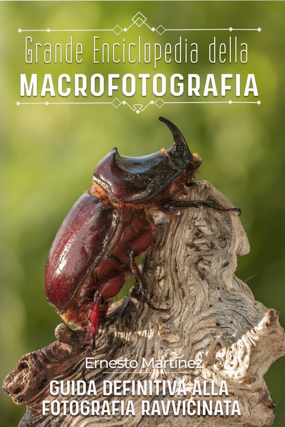 Grande Enciclopedia della Macrofotografia: Guida definitiva alla fotografia ravvicinata (Guida Maestra di Fotografia)