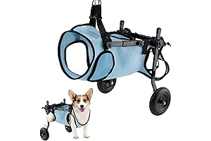 Lightweight Dog Wheelchair Assists Disabled Pets with Hind Leg Mobility