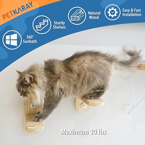 Miniatura 9 de PETKARAY Percha para ventana de gato, hamaca plegable para ventana, estantes de ventana estables para gatos de interior, el juego incluye 2 unidades
