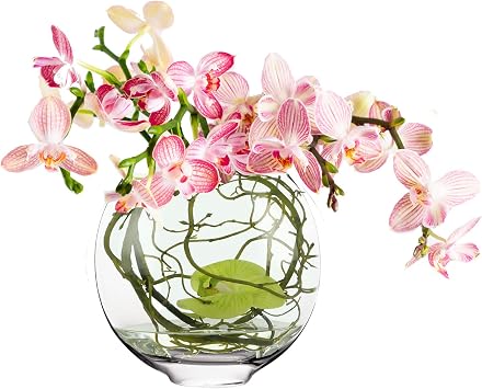 CYS EXCEL Glass Moon Vase Oval Bowl H10.25" L11" | Multiple Size Choices Round Flower Vase Centerpiece | Plant Terrarium Bowl Vase