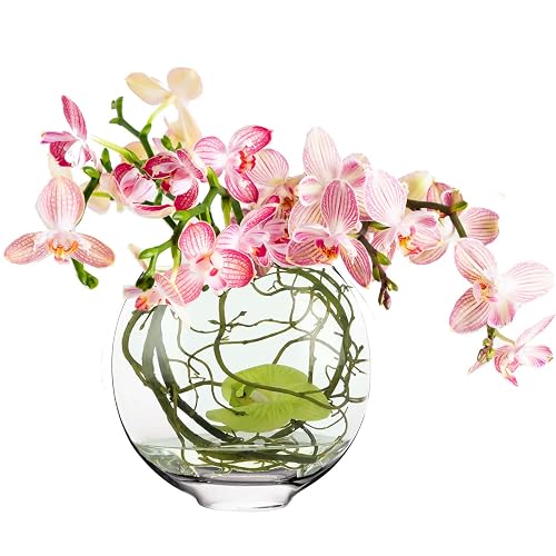 CYS EXCEL Glass Moon Vase Oval Bowl (H:10.25" L:11") |