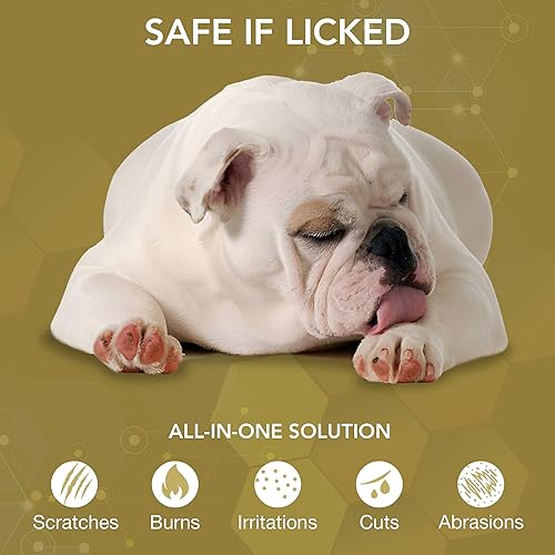 Miniatura 6 de NOVEHA Terapia de oídos para perros Alivia la picazón, limpia el canal auditivo y controla el olor, limpiador de oídos para perros Detén