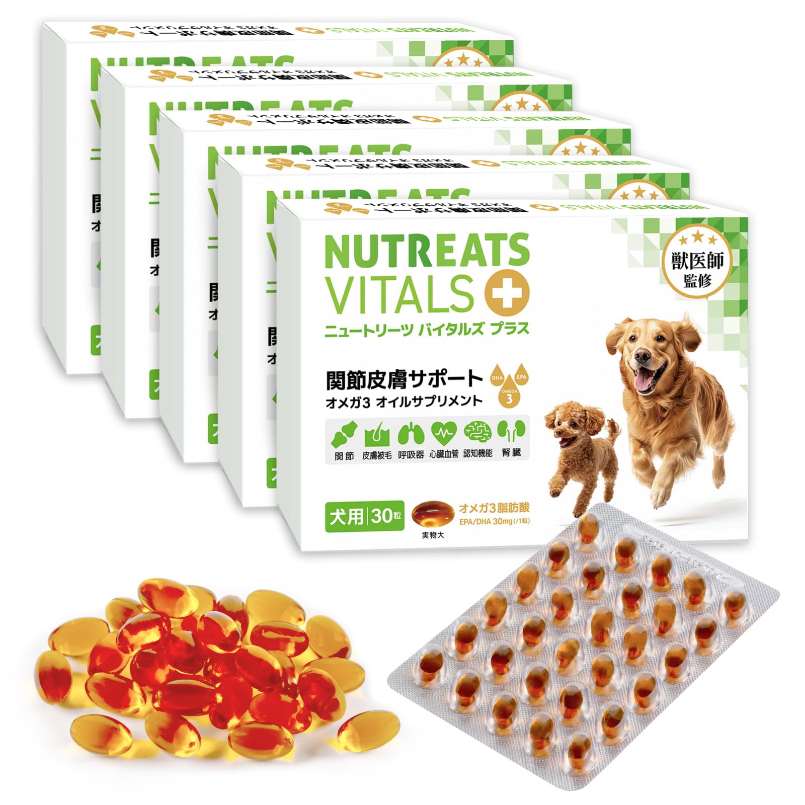 Veterinarian-Supervised Nutreats Vitalz Plus Dog Supplement, Omega-3 Joint Skin Support, Pet Supplement for Joints, Skin, Nerves, Kidney Care, DHA, EPA, Senior, Natural Green Lipped Mussel, 50mg
