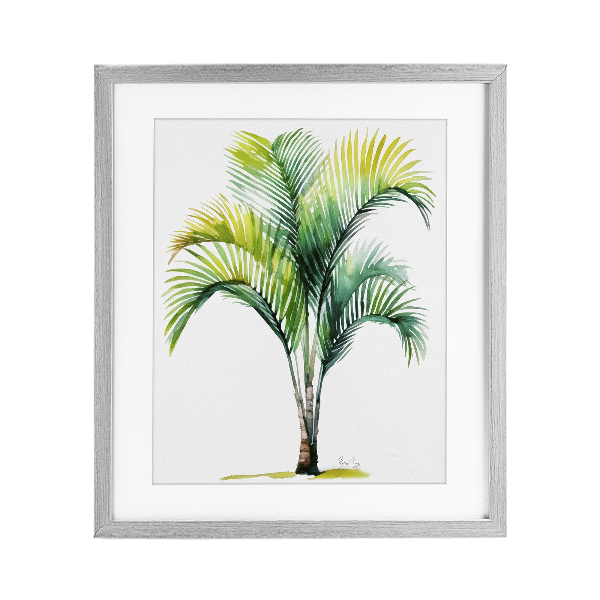 Stupell Industries 'Coastal Canopy Palm Tree', Framed Print Under Glass, Gray, 17 x 21 Inches, Easy to Hang and Sturdy, Made in USA, by Shelly Craig
