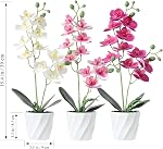 Dremisland 3 Pack Fleurs artificielles d'orchidée Faux Phalaenopsis Fleurs Artificial Potte Plante Real Touch Fleurs d'archid Faux Greenery Plantes Décor pour la maison Bureau de table Salon Salle de bain