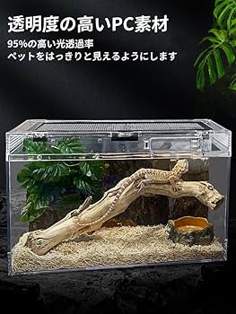 Amazon | RoBeKaU レプタイルボックス 爬虫類 飼育ケース 虫かご 大