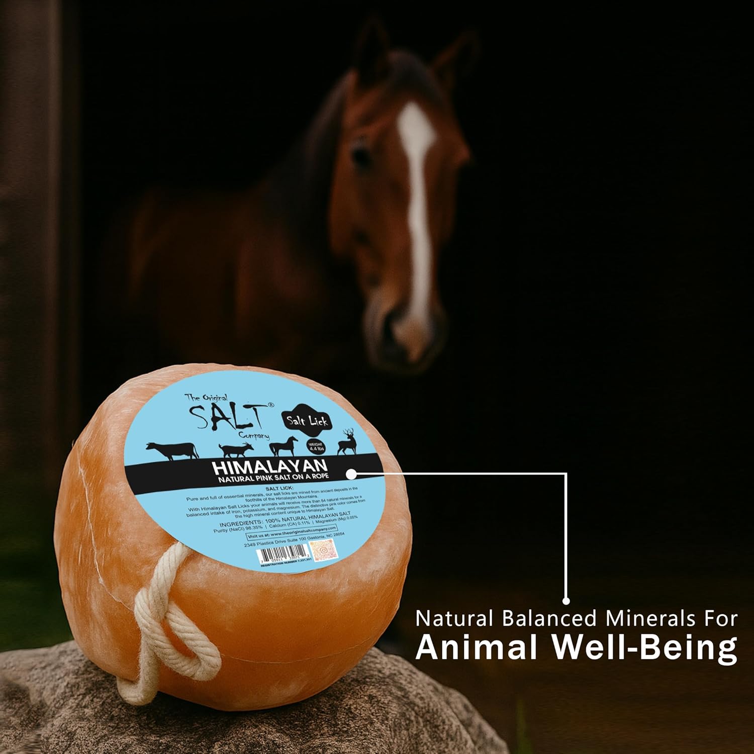 Himalayan Salt Lick for Horses & Livestock – 4 Pack (4.4 lb Each) | 100% Natural Pink Salt on Rope | Supports Hydration, Digestion & Overall Wellness (4)