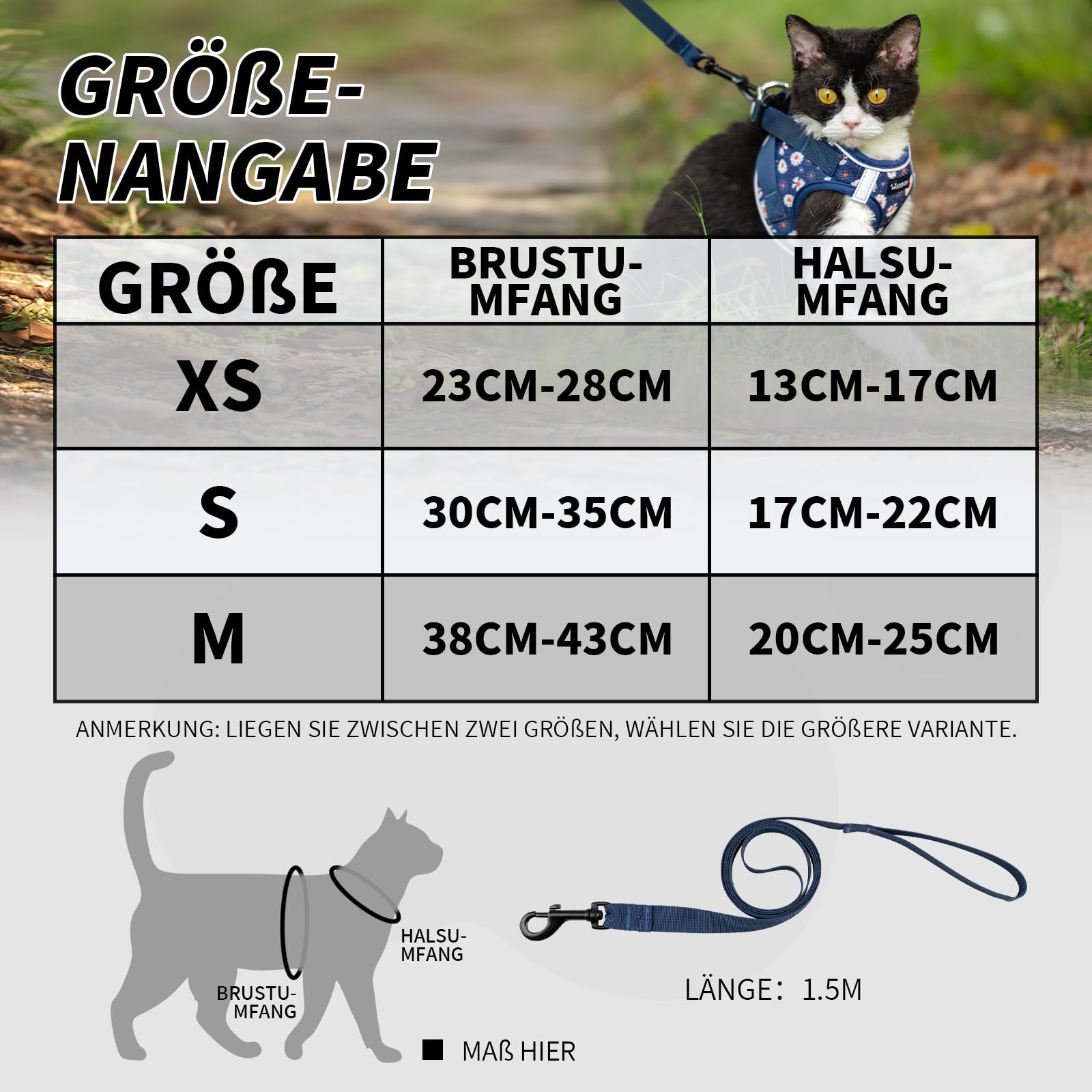 Arblina Katzengeschirr, Weich & Atmungsaktives Katzengeschirr-Set mit Reflex, Leichtes Katzengeschirr Ausbruchsicher mit 1,5m KatzenLeine, Blau S