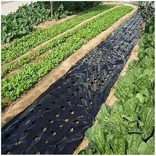CHALKE Griculture Mulch, 1PC Pre-Punched Hole Plastic Film Greenhouse Weeds Control Mylar Strawberry Vegetable Nursery Planting Tools Black (Size : 0.95x5m)
