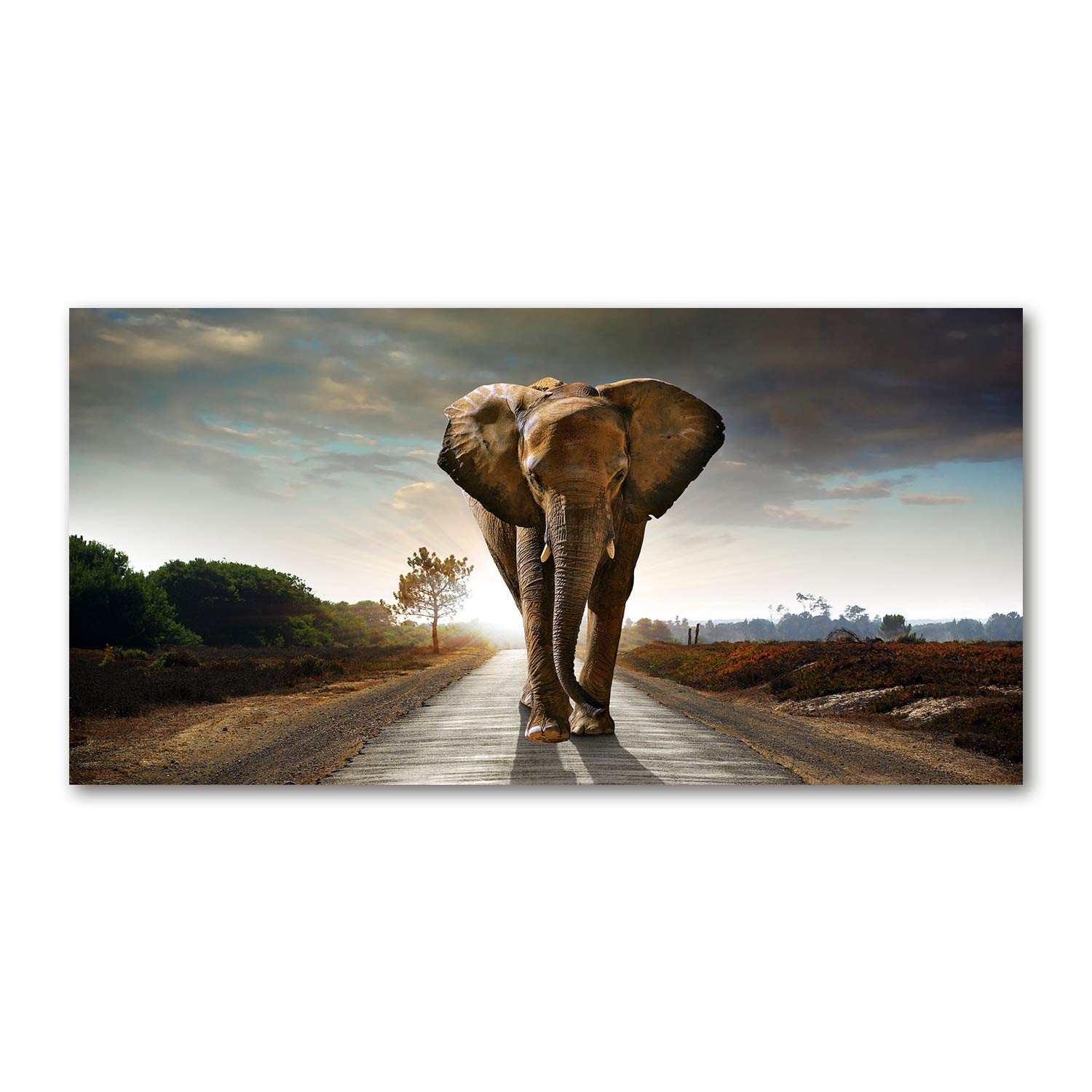 Déco murale acrylic glass picture animaux éléphant marron tableau 120x60