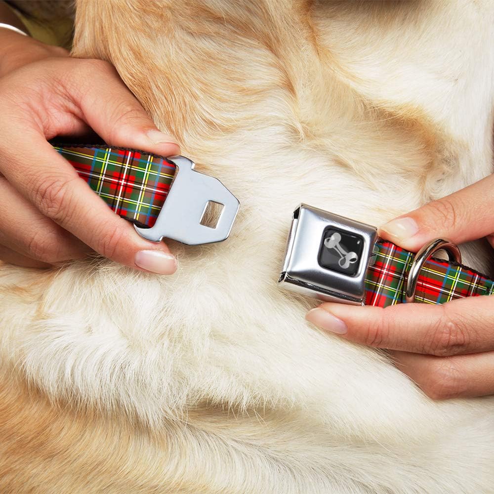 Dog Collar Seatbelt Buckle Tartan Plaid Red Green 15 to 26 Inches 1.0 Inch Wide